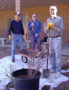 Gila Community College